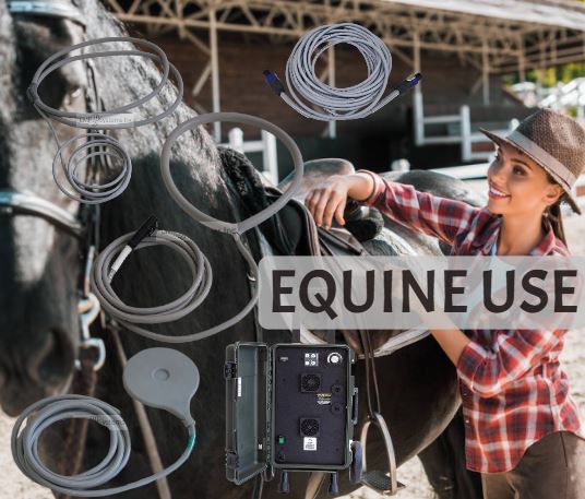 EQUINE EQUIPMENT CATALOG